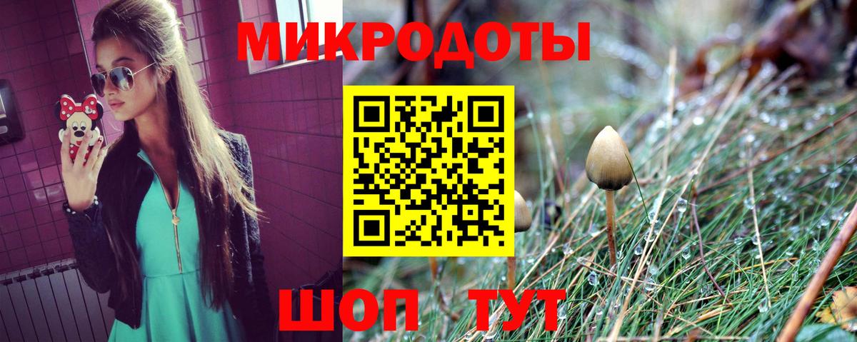 Галлюциногенные грибы прущие грибы Белорецк